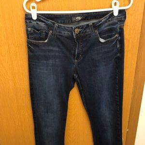 Silver jeans Elyse style